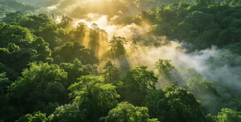 临汾肺癌11基因检测组织版图片1