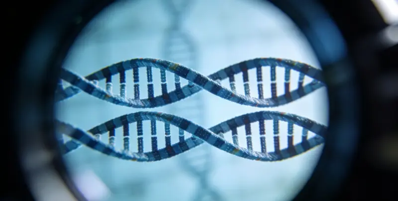 公证亲子鉴定图4